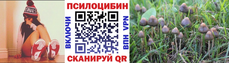 Галлюциногенные грибы ЛСД  Кондопога 