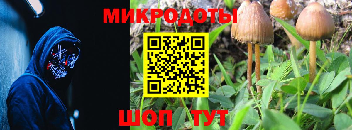 Псилоцибиновые грибы GOLDEN TEACHER Кондопога